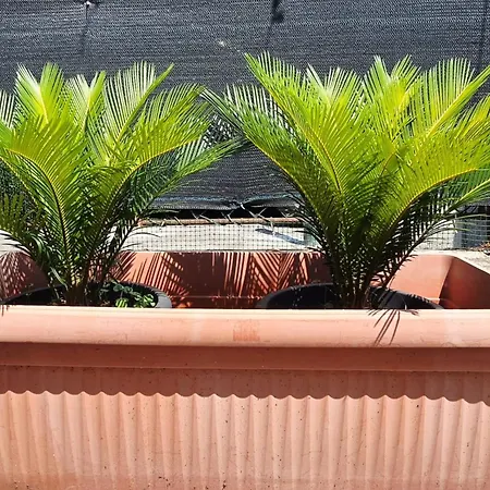 Guest Nonantola Lejlighed Modena